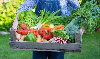 L importanza della diversificazione nelle aziende agricole | AgriCook